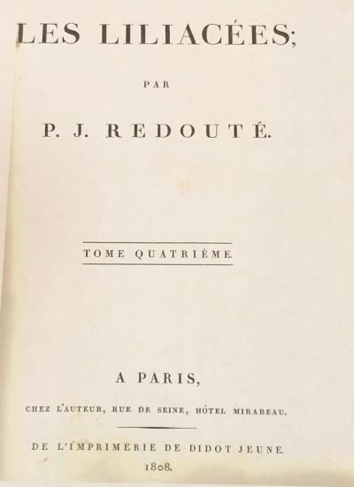 Convallaria Majalis Print Hand Colored Engraving Signed P J Redoute