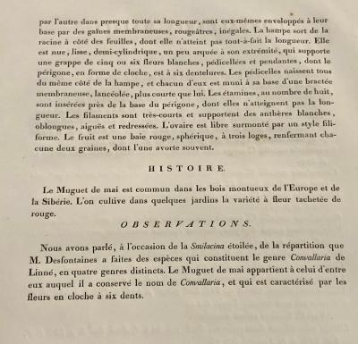 Convallaria Majalis Print Hand Colored Engraving Signed P J Redoute