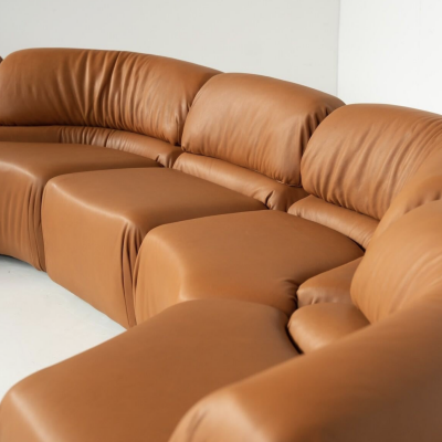 Cosmos DS28 Modular Sofa by Ulbald Klug De Sede New Leather Upholstery