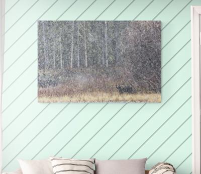 Cristina Mittermeier Fishing Branch 6 