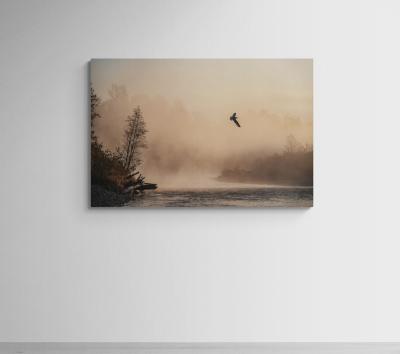 Cristina Mittermeier Flight at Dawn 6 
