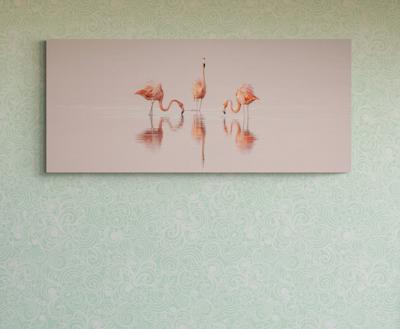 Cristina Mittermeier Pink Dancers 6 