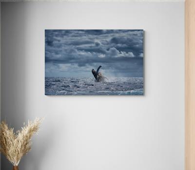 Cristina Mittermeier Pure Joy 6 