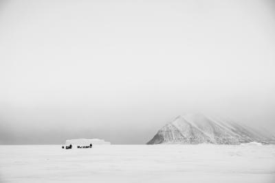 Cristina Mittermeier Whiteout 6 