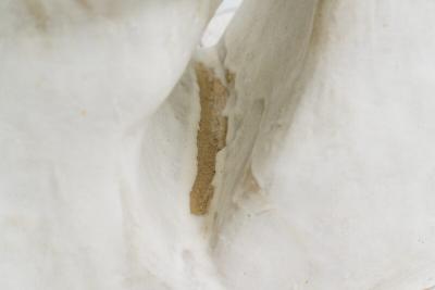 Curtis Fontaine Curtis Fontaine Untitled Vessel 22 USA 2022