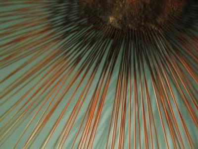 Curtis Jer C Jere Starburst Sunburst Mixed Metals Brass Copper Brutalist Wall Sculpture