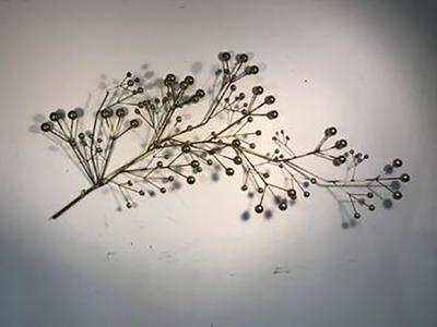 Curtis Jere Beautiful and Rare Curtis Jere Brass Tree Branch Wall Sculpture