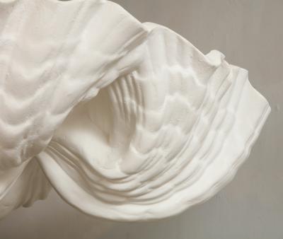 Custom Coquillage Plaster Fixture