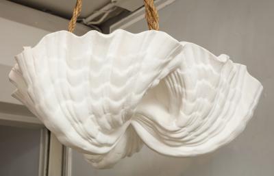 Custom Coquillage Plaster Fixture