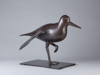 DANIEL DAVIAU Oystercatcher Daniel DAVIAU