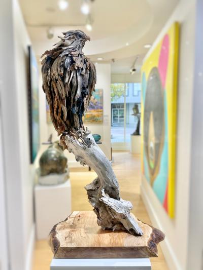 Dalyn Berryman Bald Eagle