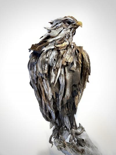 Dalyn Berryman Bald Eagle
