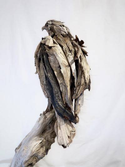 Dalyn Berryman Bald Eagle