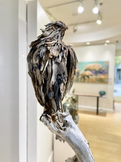 Dalyn Berryman Bald Eagle