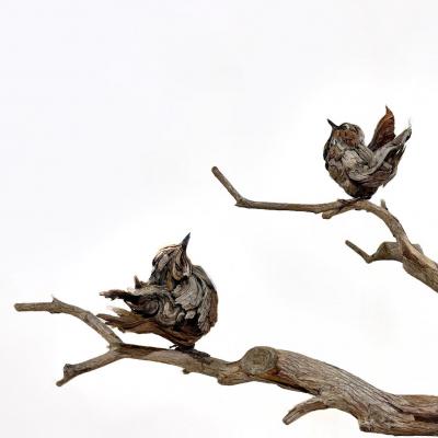 Dalyn Berryman Wren Dance