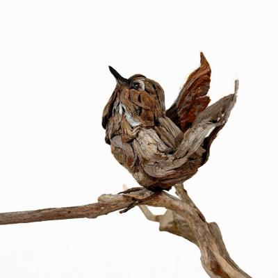 Dalyn Berryman Wren Dance