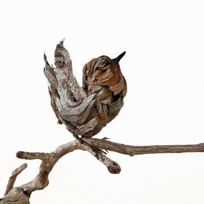 Dalyn Berryman Wren Dance