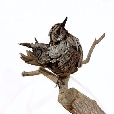 Dalyn Berryman Wren Dance
