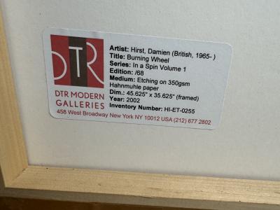 Damien Hirst Burning Wheel