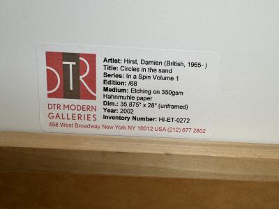 Damien Hirst Circles in the Sand