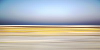 Danae Fallier Desert 15 Death Valley Superbloom