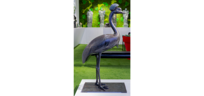 Daniel Daviau Black Crowned Crane 2019