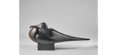 Daniel Daviau Frigatebird 2019