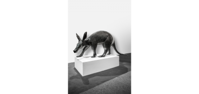 Daniel Daviau Georges The Aardvark 2019
