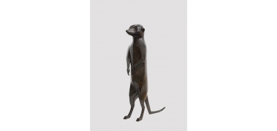 Daniel Daviau Meerkat 2016