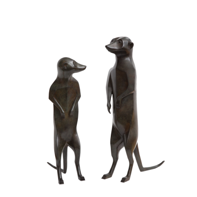 Daniel Daviau Meerkat Juvenile