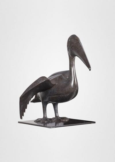 Daniel Daviau Pelican