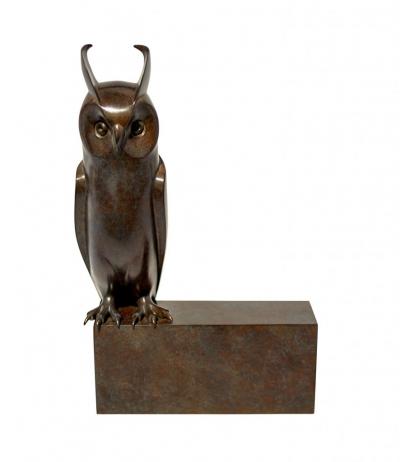 Daniel Daviau Small Long eared Owl