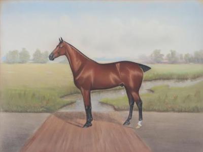 Daniel W Smith Dan W Smith American 1865 1934 Pastel portrait of a Bay racehorse 