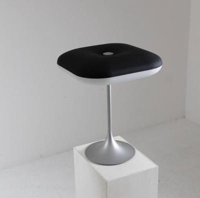 Daniela Puppa Rare Table Lamp Charms 