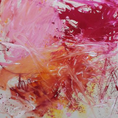 Daniela Schweinsberg Pink Is The New Black I