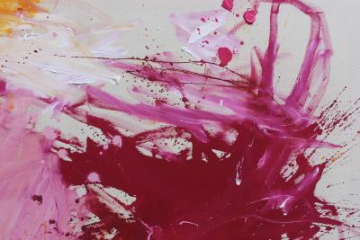 Daniela Schweinsberg Pink Is The New Black I