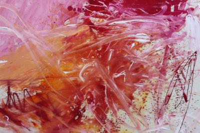 Daniela Schweinsberg Pink Is The New Black I