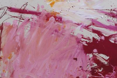 Daniela Schweinsberg Pink Is The New Black I