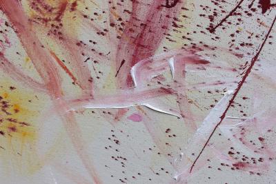 Daniela Schweinsberg Pink Is The New Black I