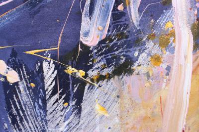Daniela Schweinsberg Travel Unknown Galaxies IV