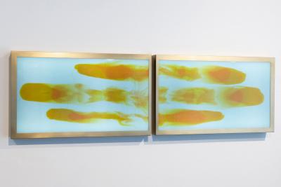 Daniele Albright Meltform 12