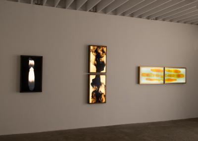 Daniele Albright Meltform 12