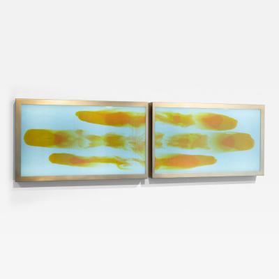 Daniele Albright Meltform 12
