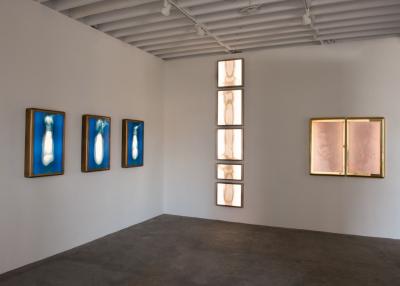 Daniele Albright Meltform 3