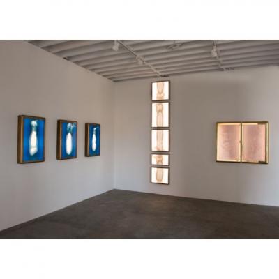 Daniele Albright Meltform 4