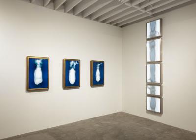 Daniele Albright Meltform 5