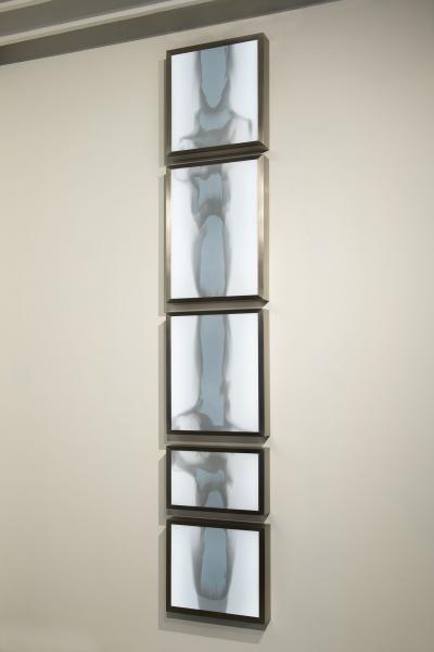 Daniele Albright Meltform 6