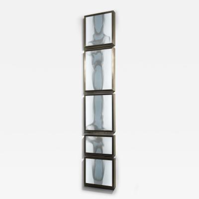 Daniele Albright Meltform 6