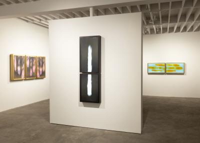 Daniele Albright Meltform 8