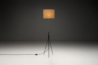 Danish Tripod Floor Lamp in Brass and Lacquered Metal Denmark Mid 20th Century